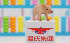 配资炒股平台：温氏股份(300498)总营业收入为649.63亿元，同比下降13.31%