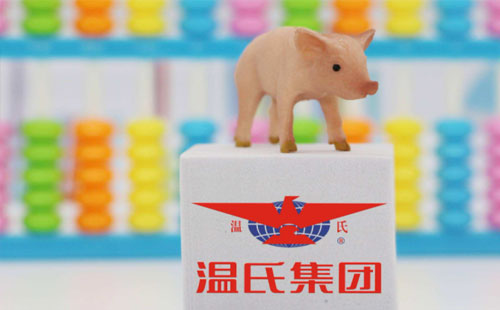 配资炒股平台：温氏股份(300498)总营业收入为649.63亿元，同比下降13.31%