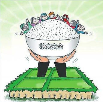 粮食板块涨势强劲